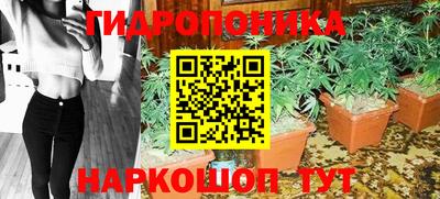 гашик Кимры